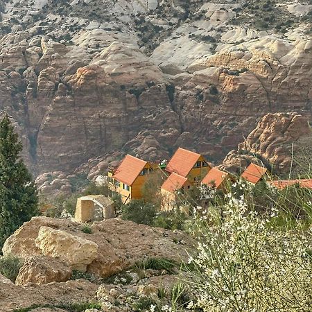 Dana Luxury Huts Hotel Екстериор снимка
