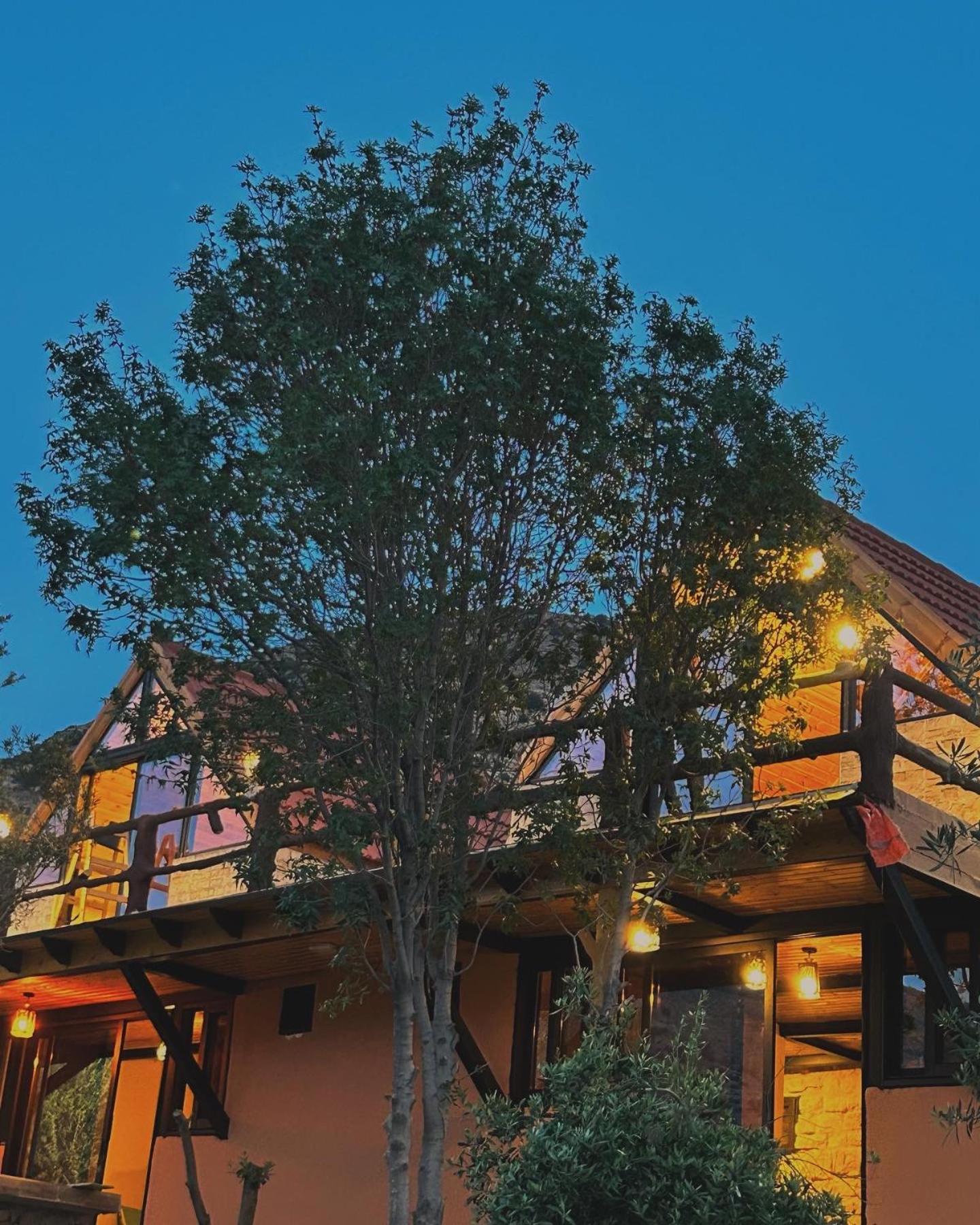 Dana Luxury Huts Hotel Екстериор снимка