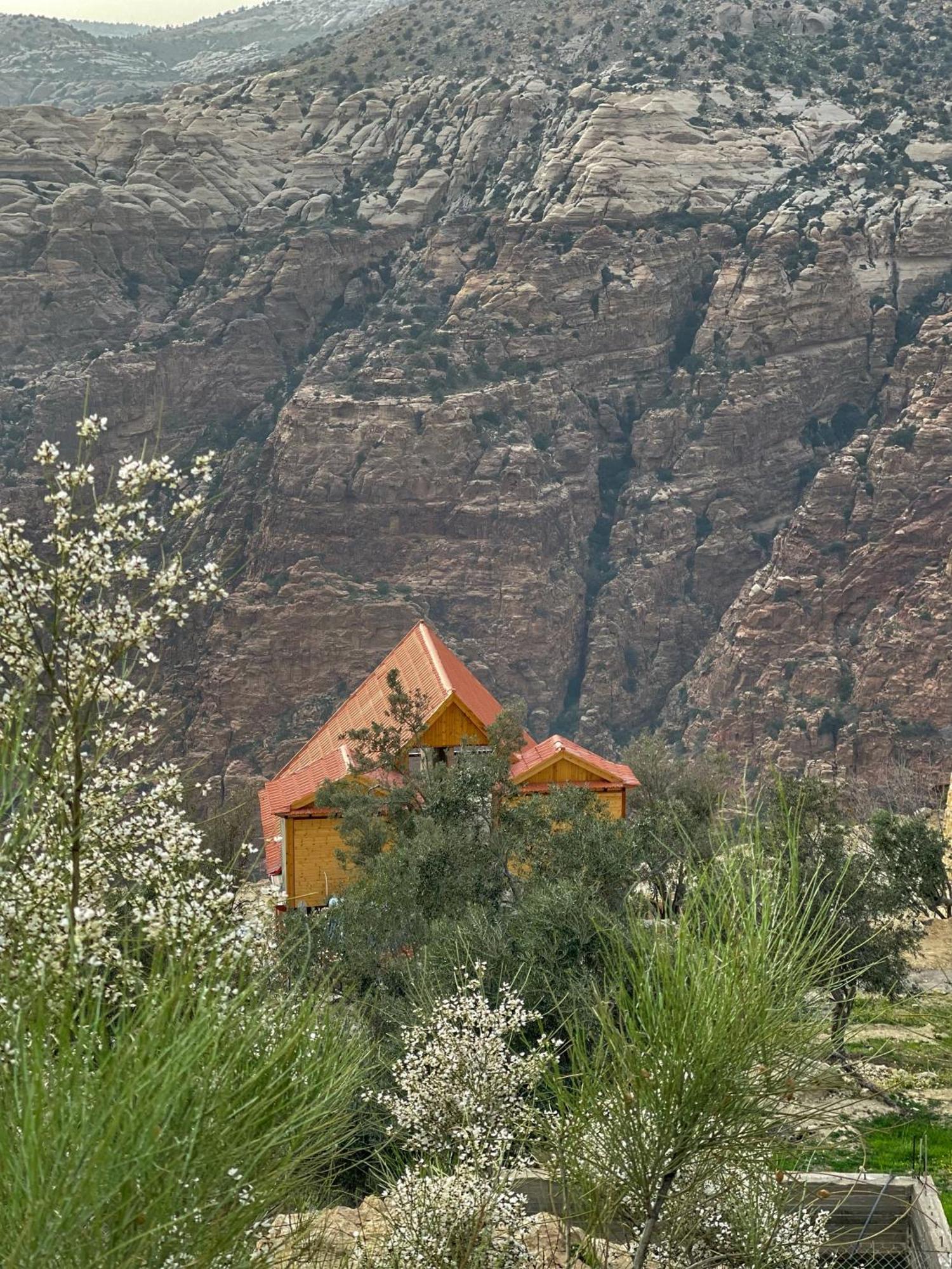 Dana Luxury Huts Hotel Екстериор снимка