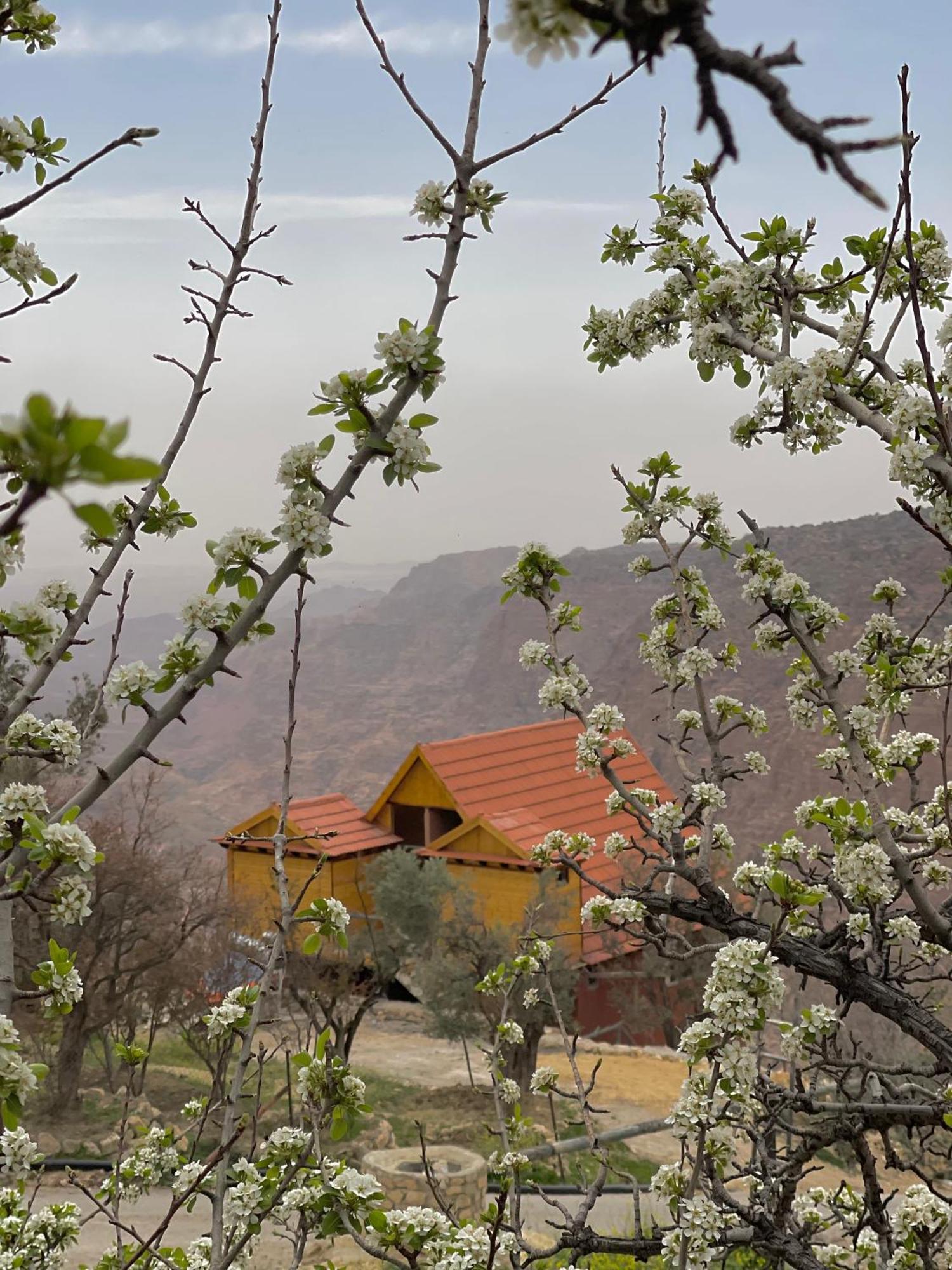 Dana Luxury Huts Hotel Екстериор снимка