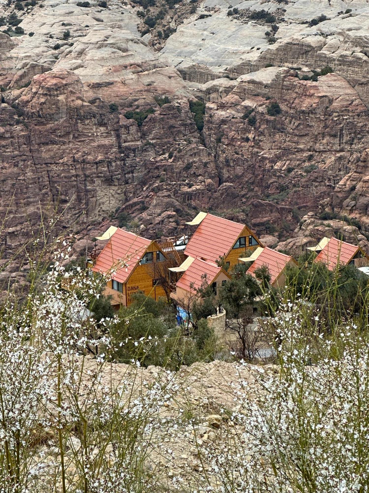 Dana Luxury Huts Hotel Екстериор снимка